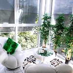 Апартаменты Modern Luxury Duplex In Duesseldorf-benrath Дюссельдорф